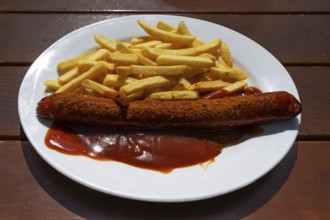 Currywurst with French fries served in a garden restaurant, Franconia, Bavaria, Germany