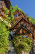 Houses on the steep bank above the lake, Hallstatt, Lake Hallstatt, UNESCO World Heritage Site,