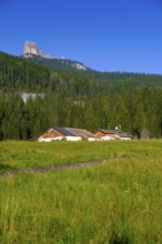 Peziè de Parù on the way to Passo Giau, Giau Pass, north side, behind Cinque Torri, Dolomites,