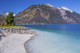 Lakeshore with bright water colours, municipality of Eben, Achensee, Tyrolean Alps, Tyrol, Austria