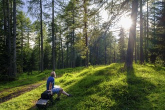 Larch meadows, Rifugio Malga Lareto, Larieto, Cortina d'Ampezzo, Dolomites, Veneto, Italy
