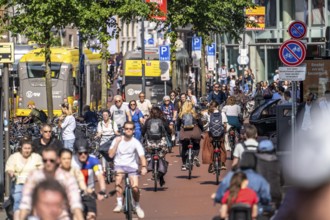 Central cycle path along the Vredenburg, in the city centre of Utrecht, lanes for pedestrians,