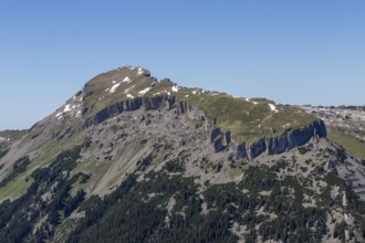 The rocky mountain peak Hohe Ifen and the Gottesacker plateau with snow and grass under a clear