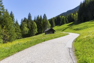 Narrow road that leads along a meadow and wooden hut through a forest