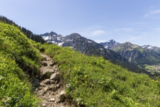 Stony path on a green hill with majestic mountains in the background