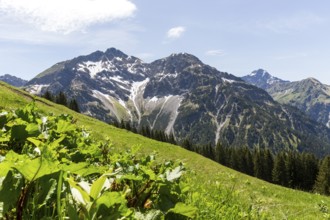 Alpine landscape with snow-covered mountain and green foreground