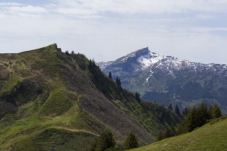 Snow-covered mountain range with spectacular slopes and forests with a view of the Kuhgehrenspitze