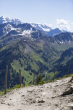 View of mountain landscape with hiking trail and snow-covered Alpine peaks