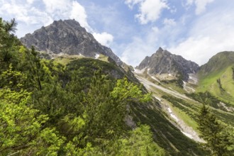 Panoramic view of the small and large Widderstein mountain peaks in Gemsteltal with green