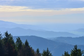 Wide mountain landscape with forest in the foreground and hazy horizon, Kandel, Waldkirch, Black