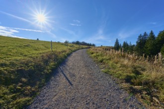 Kandel Höhenweg, leads through a peaceful landscape at the edge of the forest, Kandel, Waldkirch,