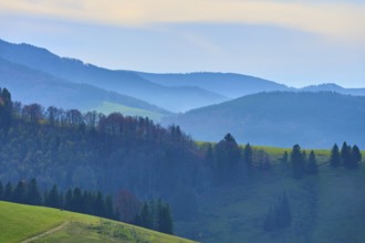 Mountain ranges and forests rise gently, Schauinsland, Freiburg im Breisgau, Black Forest,