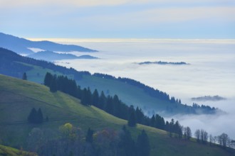 Fog-covered hills and forests under a blue sky, Schauinsland, Freiburg im Breisgau, Black Forest,