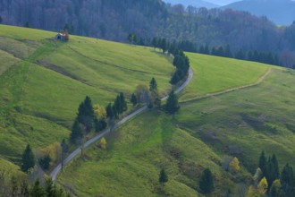 Rural road between green hills and woodland, Schauinsland, Freiburg im Breisgau, Black Forest,
