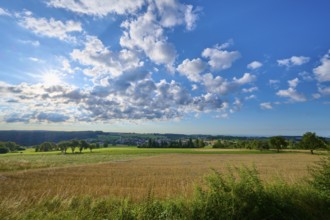 Morning sun over a wide, green field with scattered trees and clouds, Katzenbuckel, Waldbrunn,