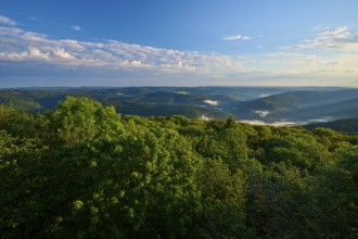 View over wooded and foggy hills under a clear sky, Katzenbuckel, Waldbrunn, Neckar-Odenwald-Kreis,