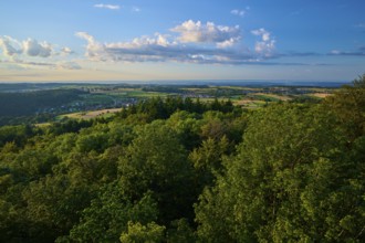Wide landscape with forest and fields under a clear sky in daylight, Katzenbuckel, Waldbrunn,