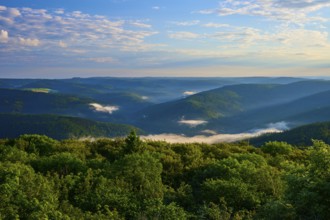 Green landscape with trees, light fog and peaceful blue sky, Katzenbuckel, Waldbrunn,