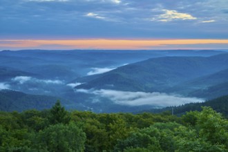Quiet mountain landscape, fog and clouds in the valley, sunrise, Katzenbuckel, Waldbrunn,