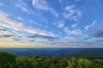 Fresh evening sky sunset over lush forest, clouds passing by, Katzenbuckel, Waldbrunn,