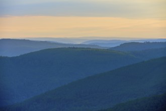 Hills characterised by light and shadows at sunrise, peaceful atmosphere, Katzenbuckel, Waldbrunn,