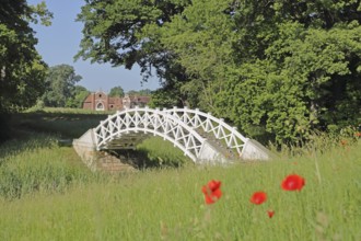 UNESCO Luisium, white arched bridge with poppies and neo-Gothic stud farm, idyll, Dessau-Wörlitz