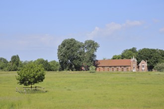 UNESCO Luisium, neo-Gothic stud farm, meadow, field, Dessau-Wörlitz Garden Kingdom, Dessau,