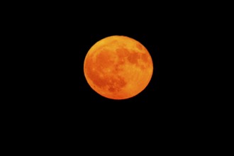 Intensely glowing orange full moon in the night sky, full moon, strawberry moon 2025, Vosges,