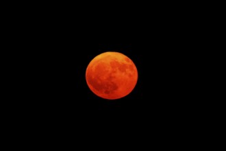 Bright red full moon in the dark sky, full moon, strawberry moon 2025, Vosges, France