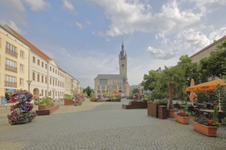 Town hall built in 1901 and floral decoration, town hall square, tower, Dessau, Dessau-Roßlau,