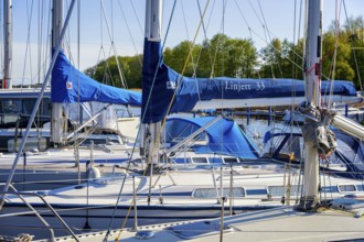 Jetty and landscape at Lake Neuensien in Seedorf, Rügen, Mecklenburg-Western Pomerania, Germany