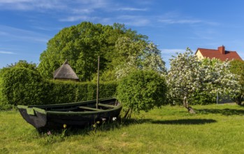 Garden decoration with an old wooden barge, Seedorf, Rügen, Mecklenburg-Western Pomerania, Germany