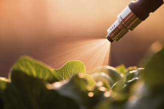 Pesticide sprayer aimed at fresh garden vegetables. A visual commentary on chemical use in