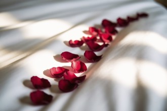 Line of red rose petals on white bedsheet symbolizing menstruation and feminine hygiene. Generative