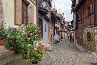 A narrow alleyway lined with traditional houses with plants and red flowers, Eguisheim, Plus beaux