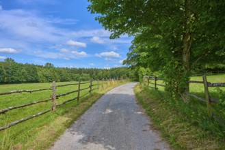 A quiet country lane runs between wooden fences, surrounded by green countryside under a bright