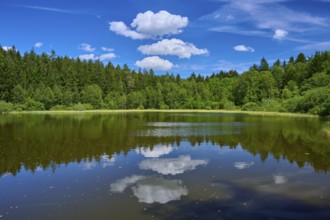 Lake with forest backdrop, reflecting clouds and deep blue sky create a calm atmosphere, Mülbener