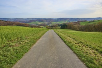 Asphalted path leads through green fields in a hilly landscape, Winterkasten, Lindenfels,