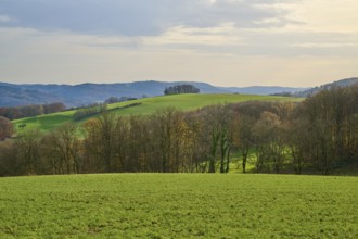 Hilly landscape with green fields and trees under a cloudy sky, Winterkasten, Lindenfels,
