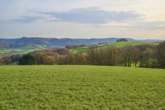 Hilly green landscape with trees and wind turbines on the horizon, Winterkasten, Lindenfels,