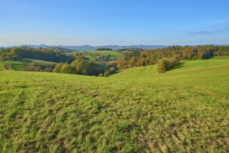 Wide green hills and meadows that create a quiet and rural atmosphere, Vöckelsbach, Mörlenbach,