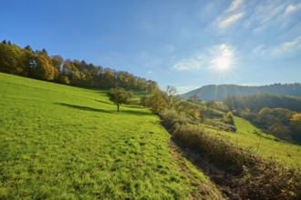 Bright green hills under a radiant sun and clear sky, Vöckelsbach, Mörlenbach, Bergstrasse