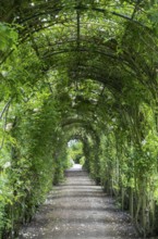 Borg Verhildersum, pergola in the garden, Leens, province of Groningen, Netherlands