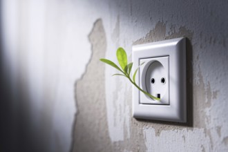 European power outlet with green leaf sprout. A visual metaphor for sustainable electricity and