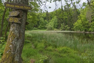 Frau Holle pond in the GEO nature park Park Frau Holle Land am Meissner, low mountain range,