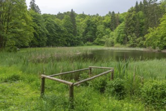 Frau Holle Pond in the GEO nature park Park Frau Holle Land am Meissner, low mountain range,