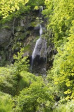 The Urach waterfall flows over rocks, surrounded by lush vegetation, Bad Urach