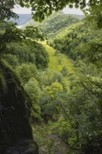 View of a green valley (Maisental) surrounded by dense forests and rolling hills, Bad Urach