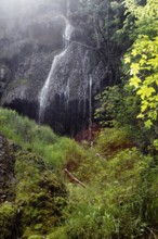 Refreshing waterfall (Urach waterfall) flows over rocks in lush green surroundings, Bad Urach