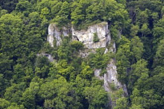 Lush overgrown rocks surrounded by dense green trees, Neidlingen, Baden-Württemberg